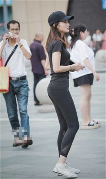 全自动驷马缚训练拘束器