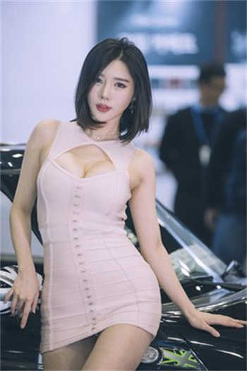 房东与租房txt许安
