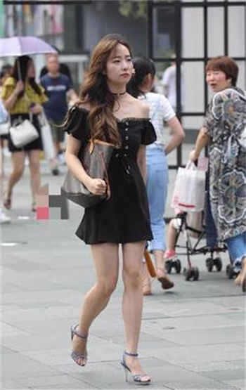 小蝌科导航