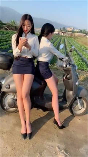 杏花村那些事王腾