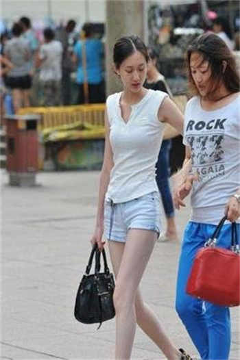 大白菜磁力吧